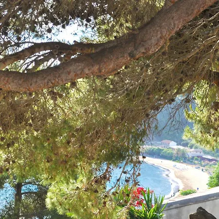 With Swimming Pool And Sea View - Beach, Corfu Διαμέρισμα Πέλεκας